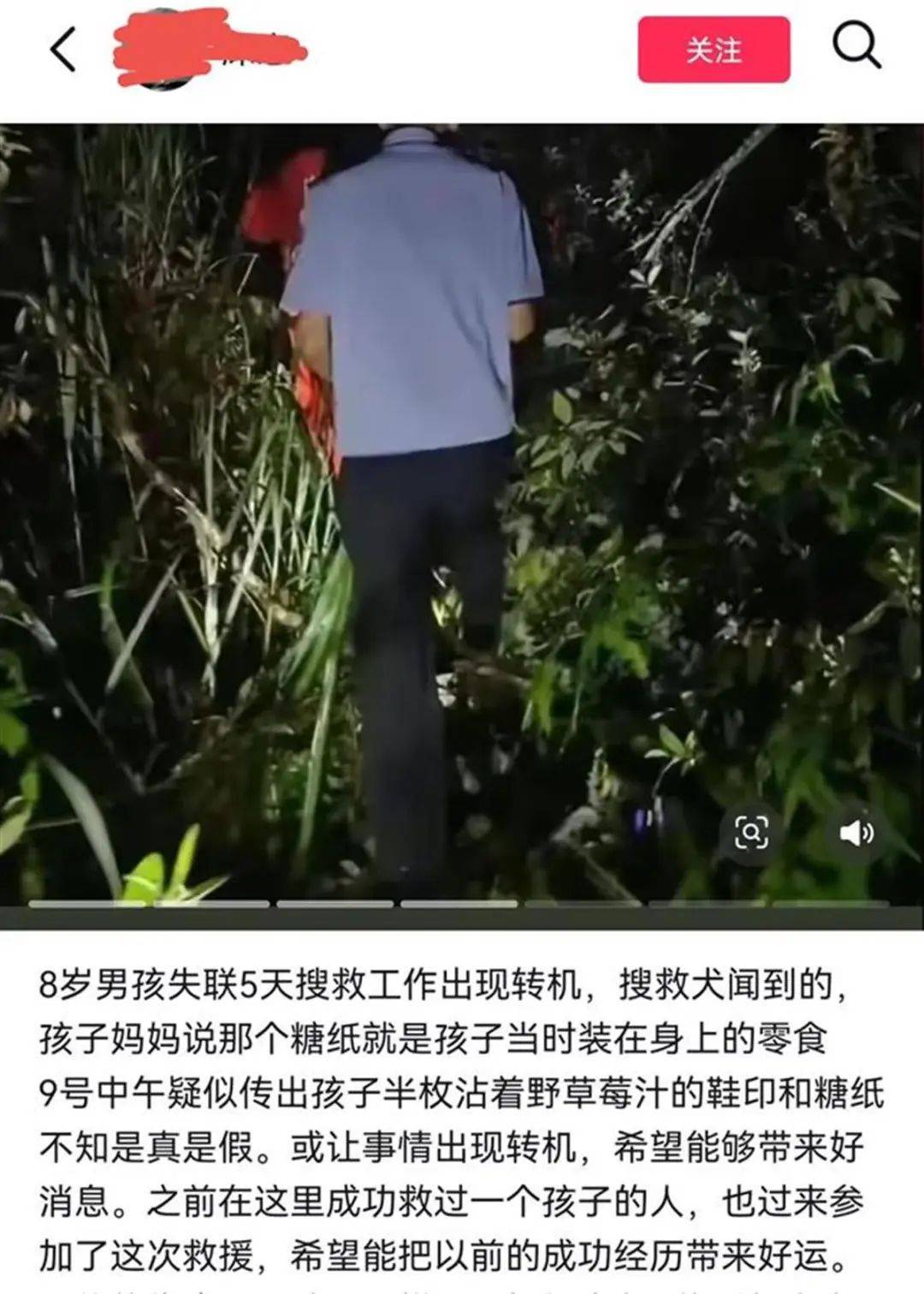 皇冠2登录welcome_2只搜救犬受伤皇冠2登录welcome!发现福建8岁失踪男孩的脚印和糖纸?搜救人员回应
