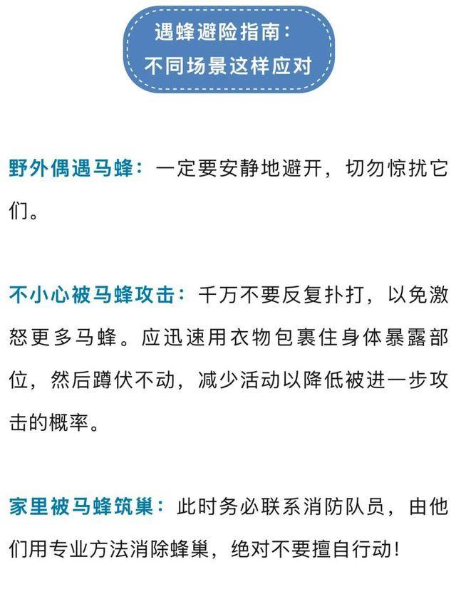 荷兰乙组联赛_别招惹!广东一老人中招荷兰乙组联赛,不幸去世