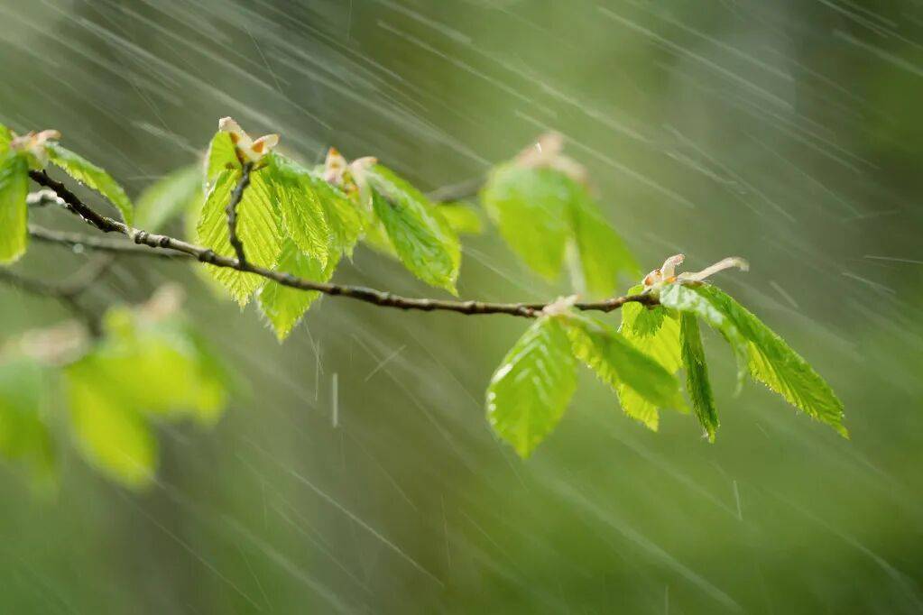 西班牙乙组联赛_明天我市有雷雨天气西班牙乙组联赛,部分地区中雨,午后阵风风力大