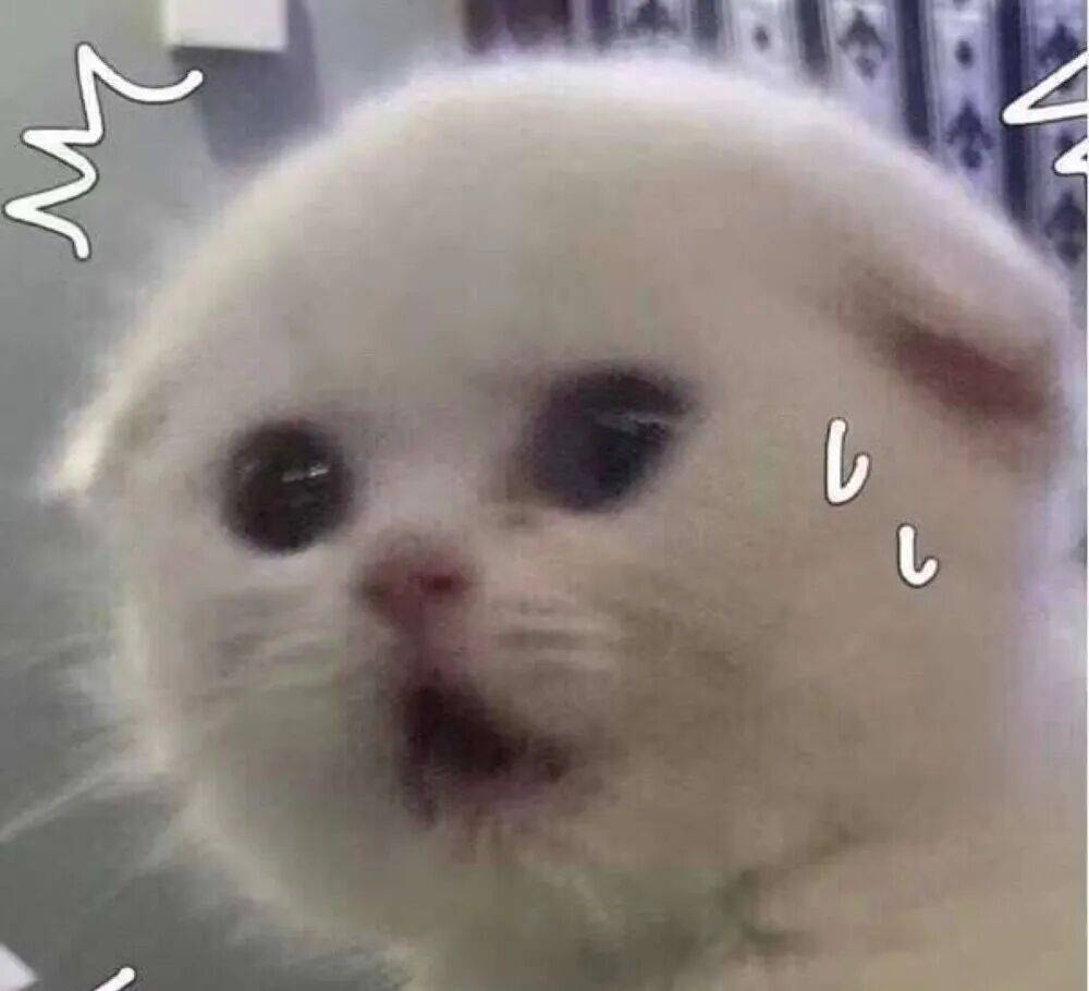 皇冠信用盘如何注册
_上海一对婆媳因阻碍加梯皇冠信用盘如何注册
,与五位邻居“大打出手”!