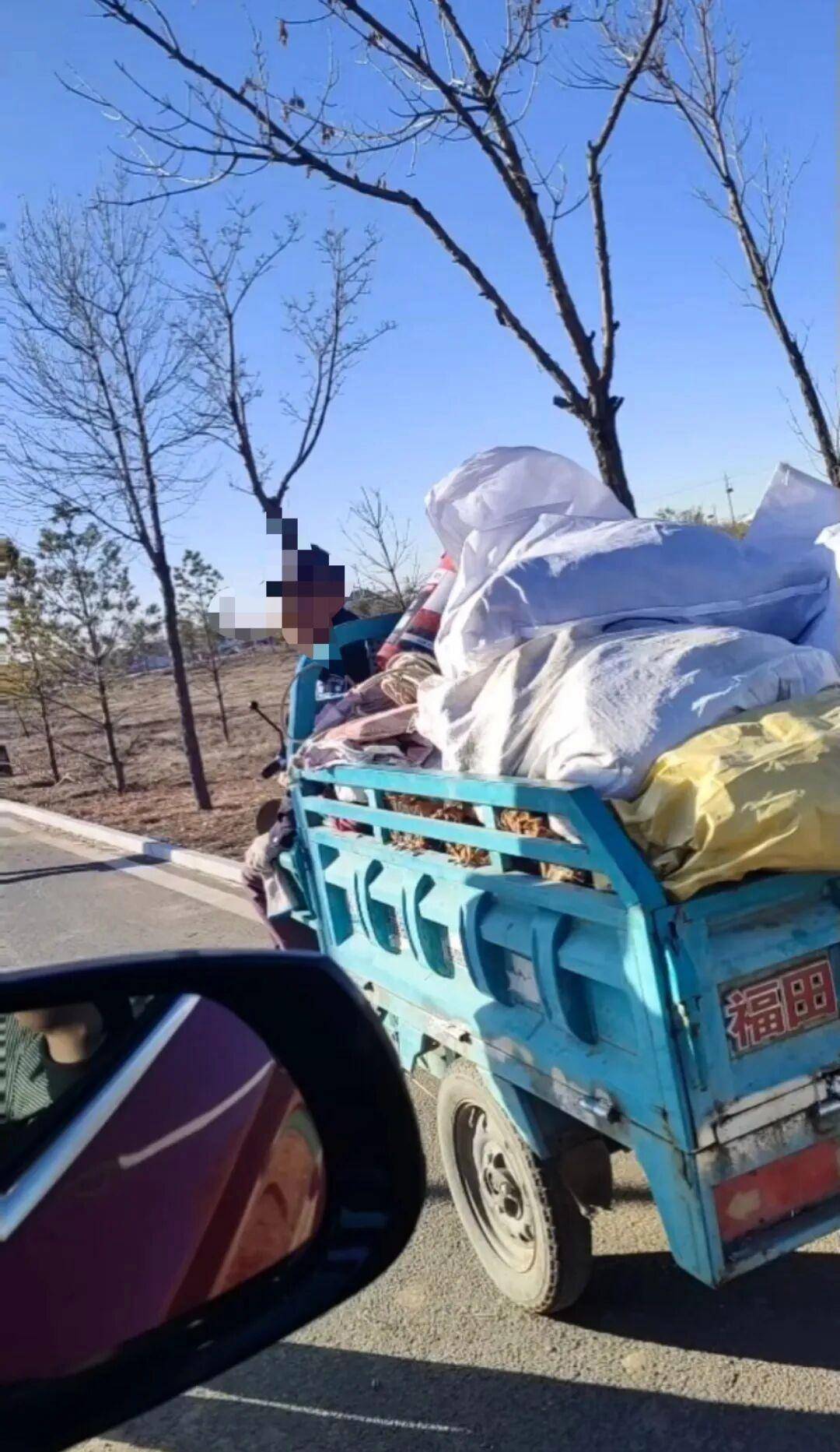 皇冠信用网_百亩向日葵遭村民哄抢皇冠信用网，损失50万元！警方已行拘4人