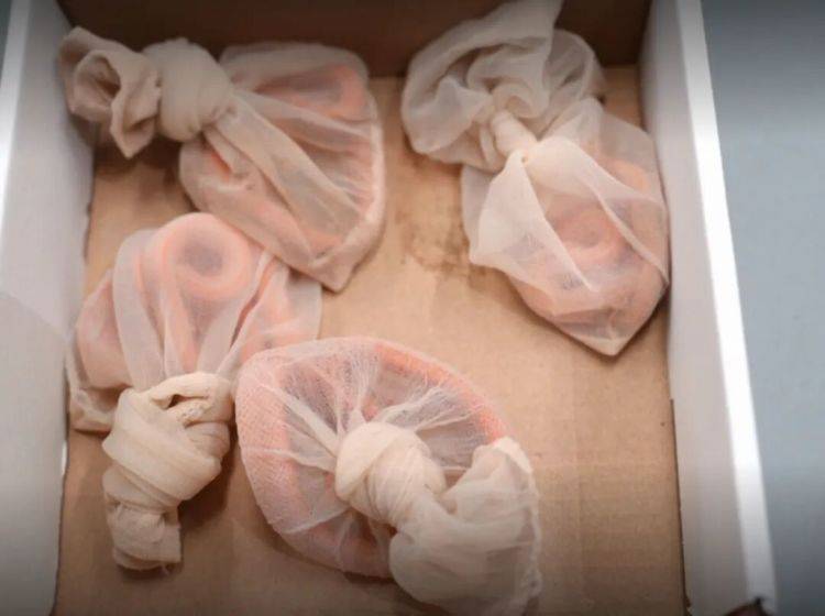 信用网如何申请_女子神色慌张信用网如何申请，海关在其裤子口袋内查获4条用肉色丝袜装着的活体蛇