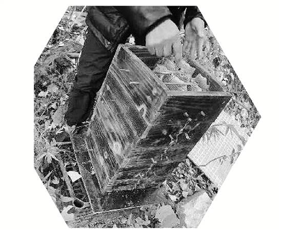 皇冠信用盘代理_两派蜜蜂打群架皇冠信用盘代理，伤亡惨重 民警：别打了，赔钱赔蜂蜜