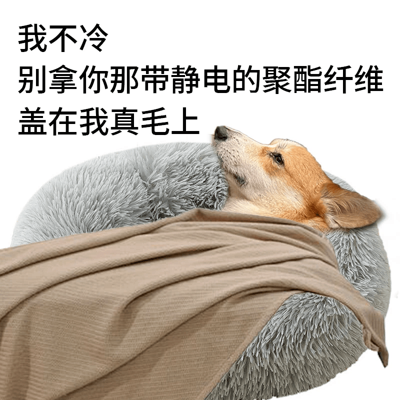 皇冠信用网怎么注册_别买那些防静电神器了皇冠信用网怎么注册,真正的克星只需要一面墙