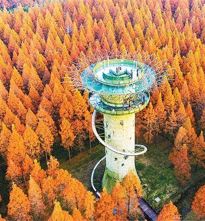 皇冠公司的代理怎么拿_《文旅深度融合“盐城路径”》发布